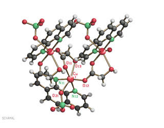 [Cu(HGLYO)(ClO 4 )(phen)] n 